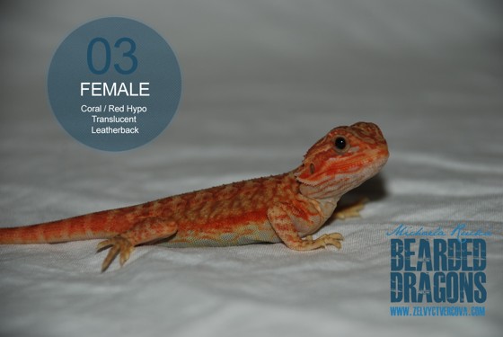 female-03.22.jpg